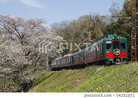 Nankai Koya Flower Railway Sky 54282851