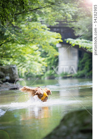 初夏河流遊玩 54282985