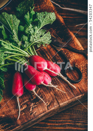 Red radish on cutting board 54283347