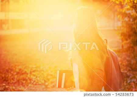 sunset silhouette sunset silhouette 54283673
