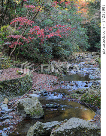 Minoo or Minoh national park in autumn, Osaka, 54283995