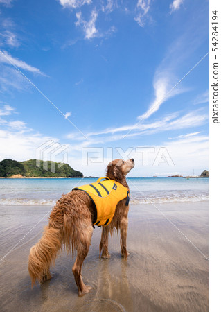 Blue sky and sea 54284194