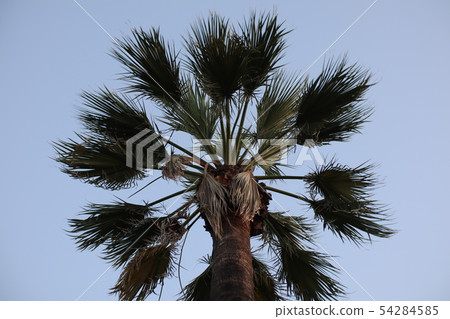 california, america, american 54284585