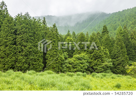 Oda Nashi wetlands 54285720