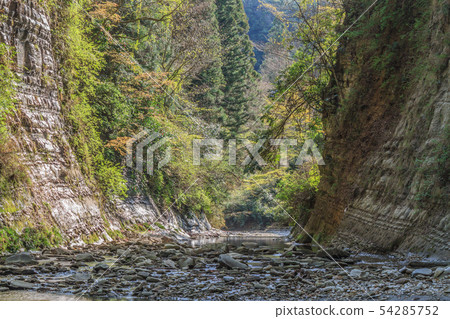 春天Yoro谷的Kobun-dong踪影風景 54285752