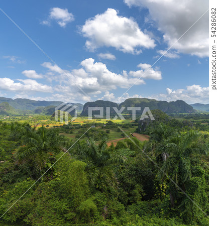 Vinales Valley site in Pinar del Rio of Cuba Vinales Valley site in Pinar del Rio of Cuba 54286082