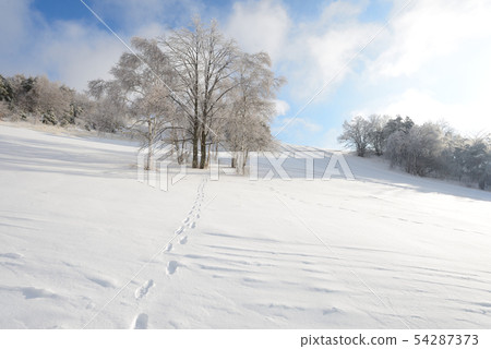 Winter scenery Winter scenery 54287373