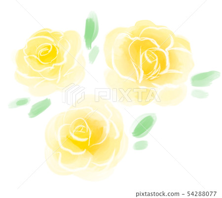 Rose yellow Rose yellow 54288077