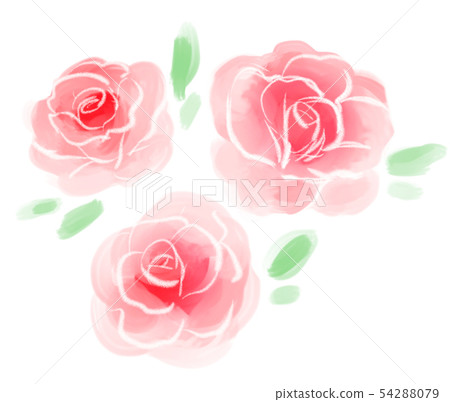 Roses red 54288079
