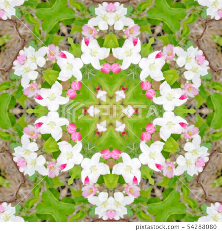 White apple blossom pattern 54288080