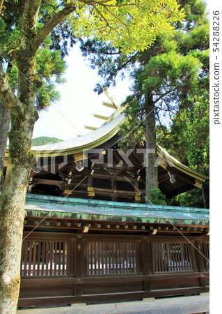 Miyaji Sakai Shrine Main Hall 54288226