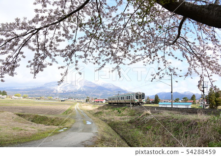 Aizu Sasayama cherry blossom train Aizu Sasayama cherry blossom train 54288459
