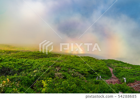 Hachimantai Akita Komagatake Brocken phenomenon in early summer Hachimantai Akita Komagatake Brocken phenomenon in early summer 54288685