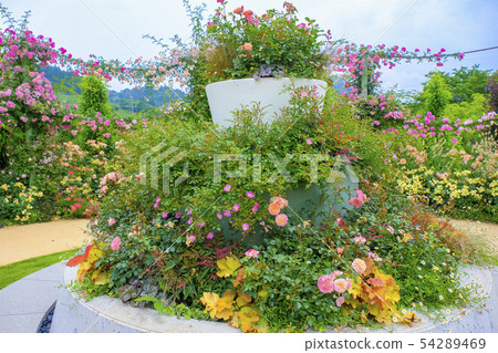 禪宗花園 54289469