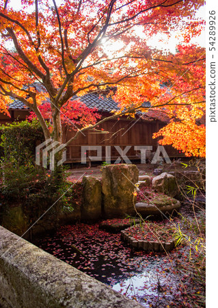 茨城廢墟秋葉 茨城廢墟秋葉 54289926