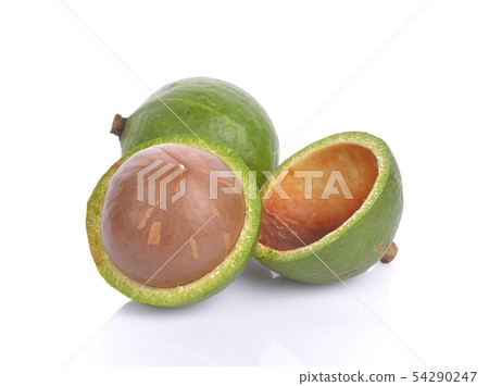 macadamia nuts on white background macadamia nuts on white background 54290247