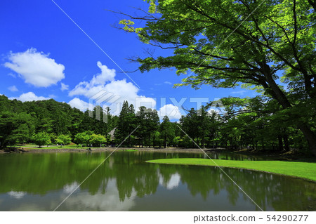 World Heritage site, fresh green Moshi-ji 54290277