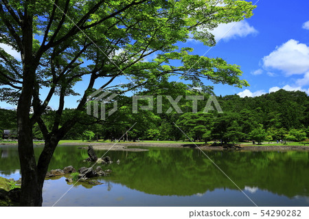 World Heritage site, fresh green Moshi-ji 54290282