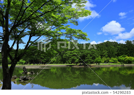 World Heritage site, fresh green Moshi-ji 54290283