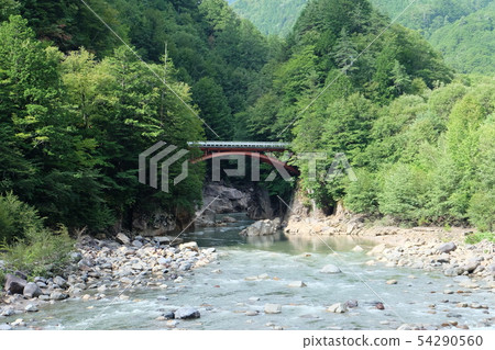 Oshika Kashibashi 54290560