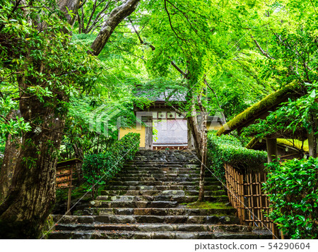 Kyoto Rikoin 54290604