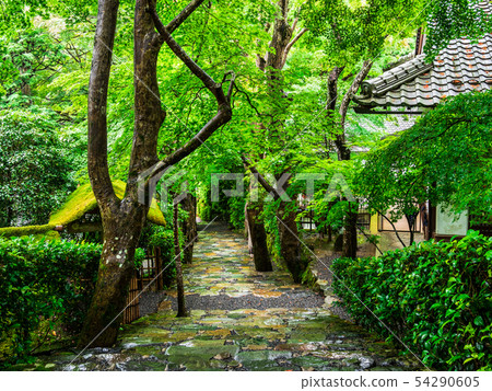 Kyoto Rikoin 54290605