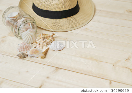 Summer image shell 54290629