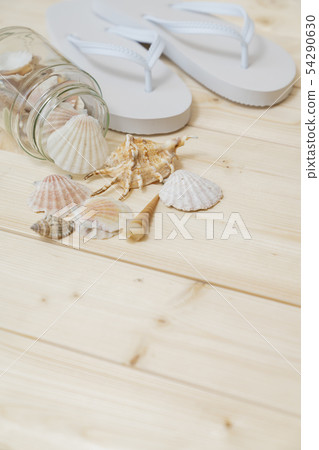 Summer image shell 54290630