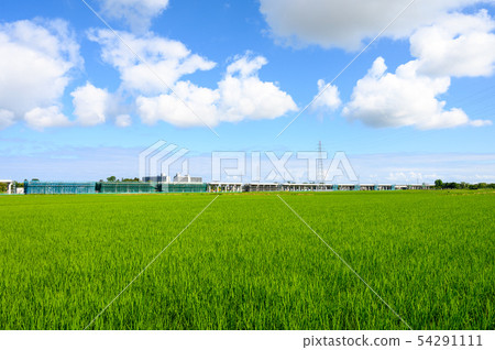 新幹線建設Hokuriku Shinkansen擴建（石川縣小松市） 54291111