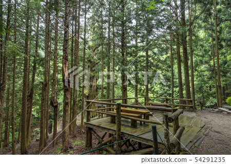 山梨縣Shishiku Yagi沒有雪松 54291235