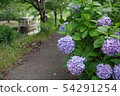 繡球花和遊艇 54291254