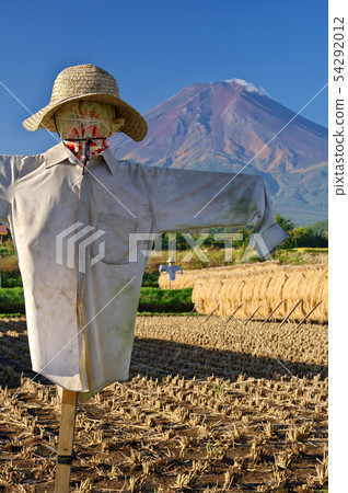 收穫秋天，卡卡西和富士 54292012
