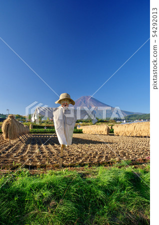 收穫秋天,卡卡西和富士 收穫秋天,卡卡西和富士 54292013