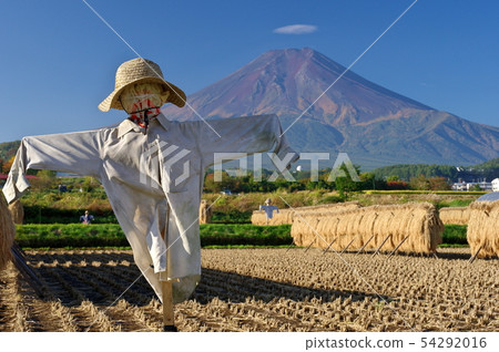 收穫秋天，卡卡西和富士 54292016