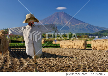 收穫秋天，卡卡西和富士 54292017
