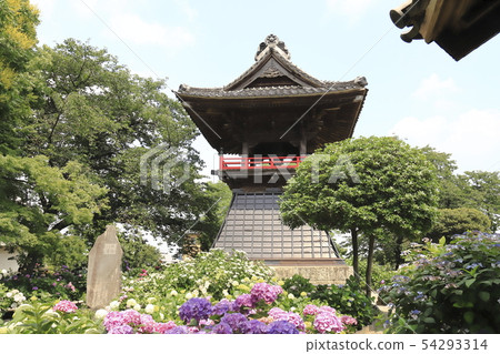 Nogoji Ajisai和埼玉縣熊谷市的鐘樓 Nogoji Ajisai和埼玉縣熊谷市的鐘樓 54293314
