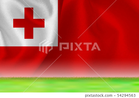 Tonga flag grand background 54294563