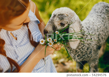 beautiful girl with goat beautiful girl with goat 54294576