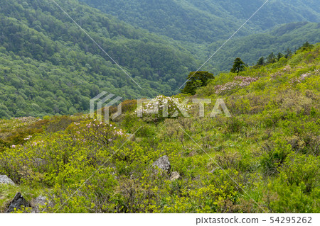 Deogyusan, Muju-gun, Jeonbuk 54295262
