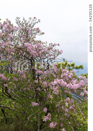 Deogyusan, Muju-gun, Jeonbuk 54295326