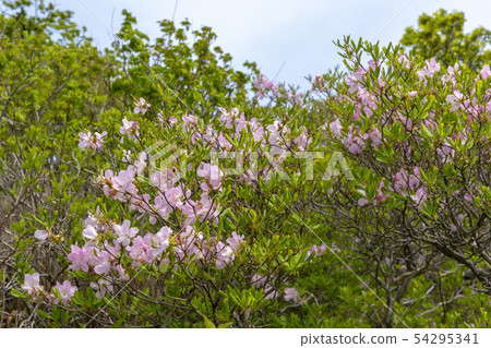 Deogyusan, Muju-gun, Jeonbuk Deogyusan, Muju-gun, Jeonbuk 54295341
