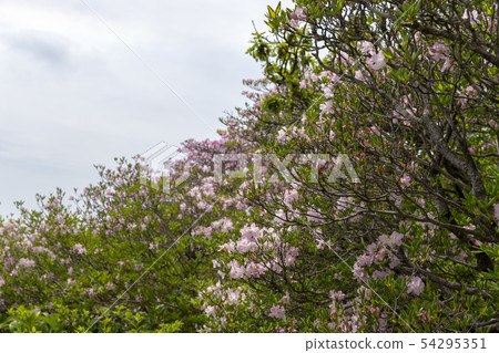 Deogyusan, Muju-gun, Jeonbuk Deogyusan, Muju-gun, Jeonbuk 54295351