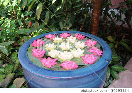 Jim Thompson house museum Jim Thompson house flowers 54295554