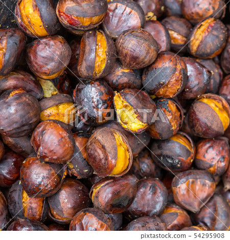 roast Chestnut 54295908