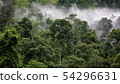 tropical rainforest in Thung Yai Naresuan Wildlife 54296631