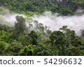tropical rainforest in Thung Yai Naresuan Wildlife 54296632