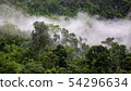 tropical rainforest in Thung Yai Naresuan Wildlife 54296634