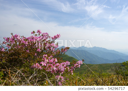Deogyusan, Muju-gun, Jeonbuk 54296717
