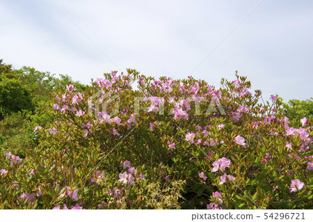 Deogyusan, Muju-gun, Jeonbuk Deogyusan, Muju-gun, Jeonbuk 54296721