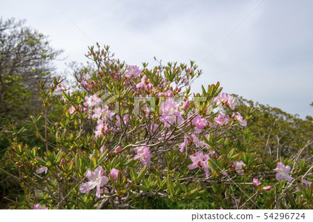 Deogyusan, Muju-gun, Jeonbuk 54296724
